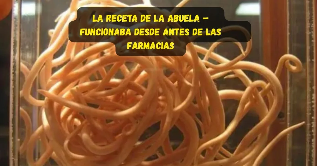 Metodologie innovative per l'idratazione cutanea